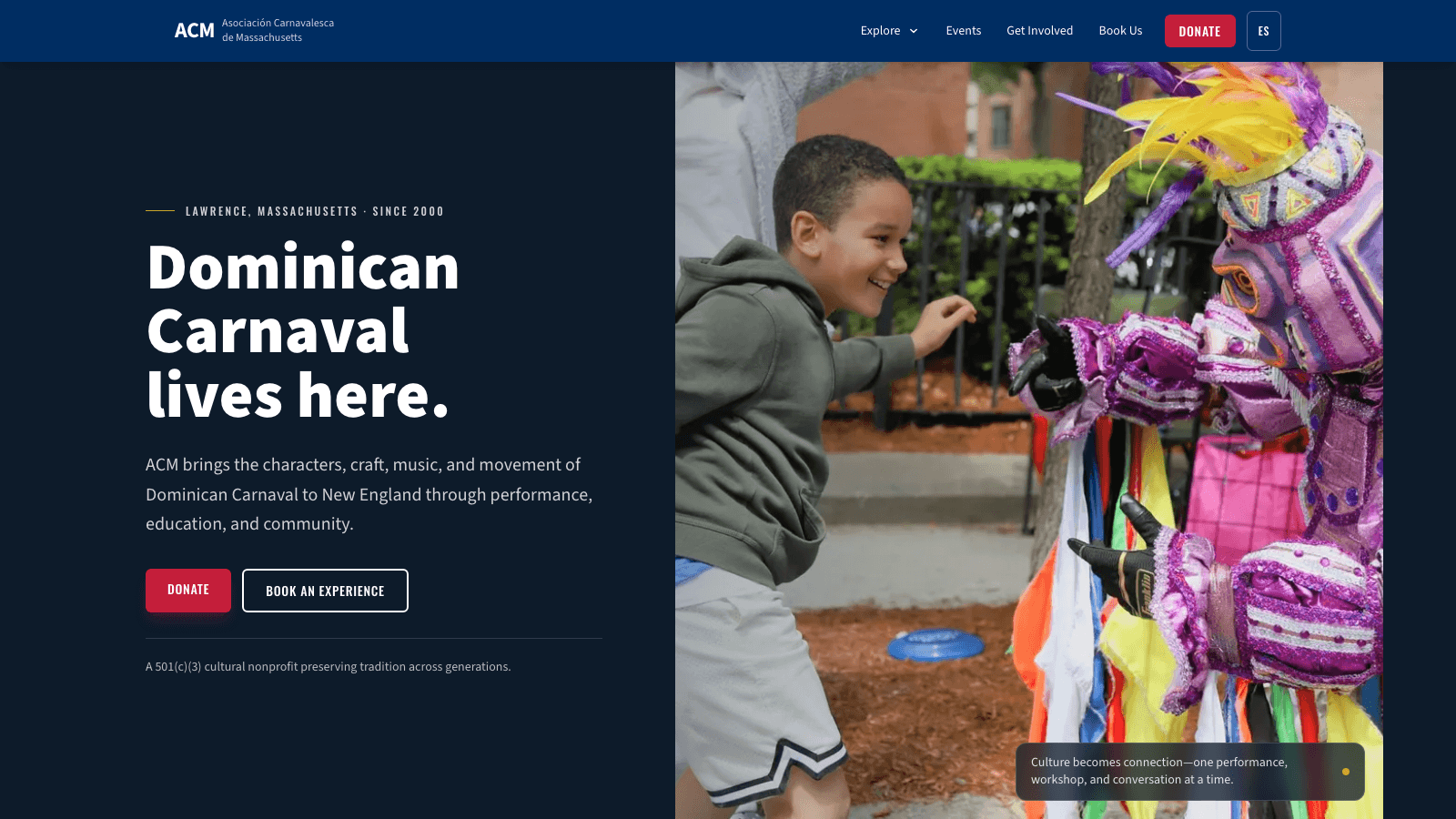 Carnavalesca website project